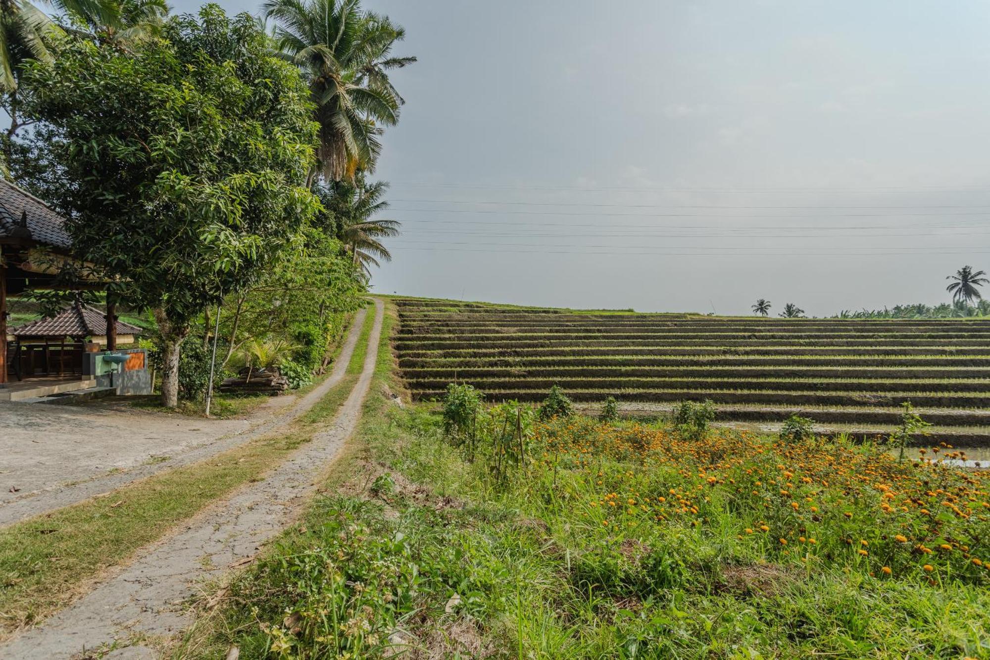 Pondok Hari Baik Balian Zewnętrze zdjęcie