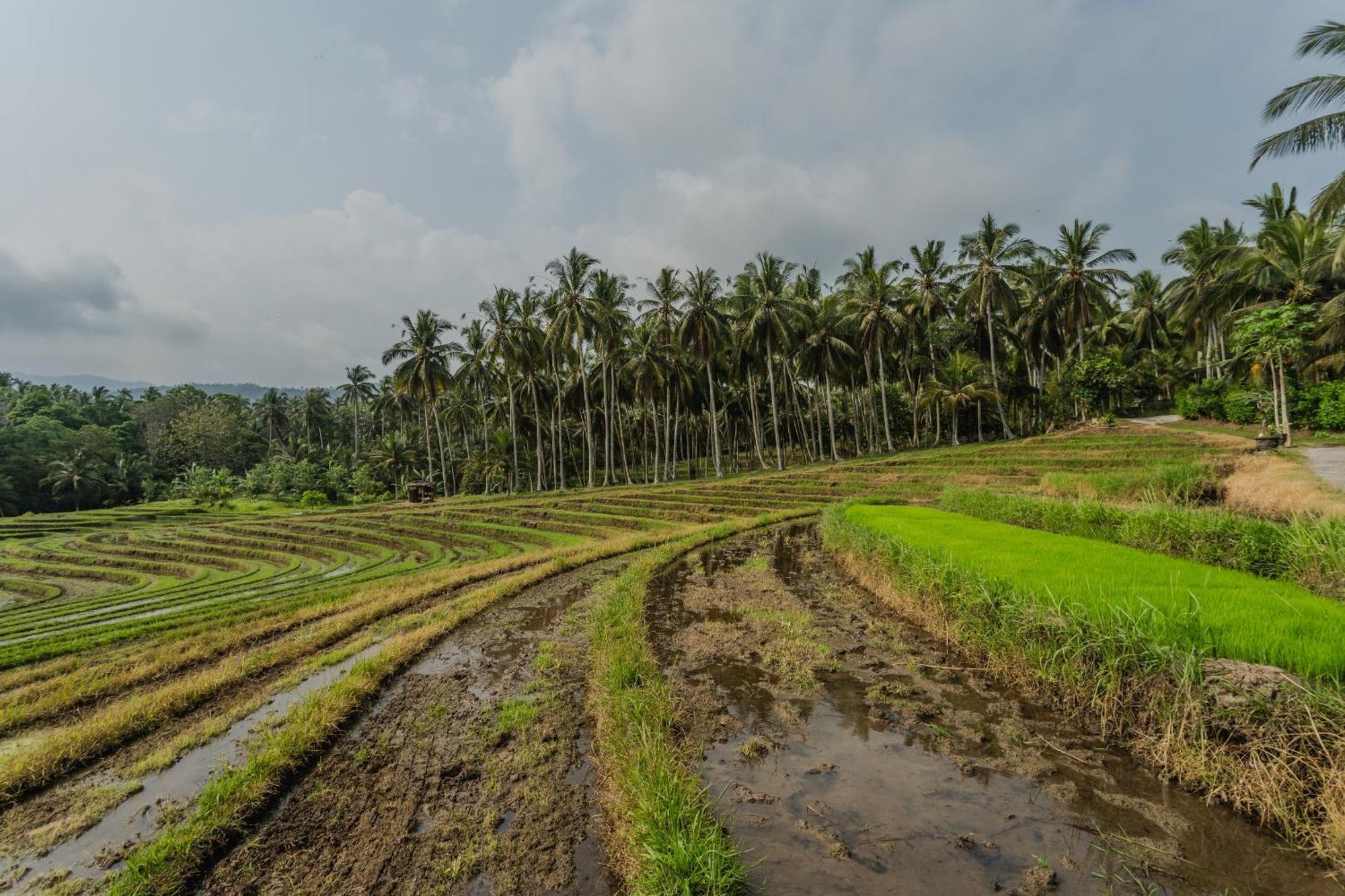 Pondok Hari Baik Balian Zewnętrze zdjęcie